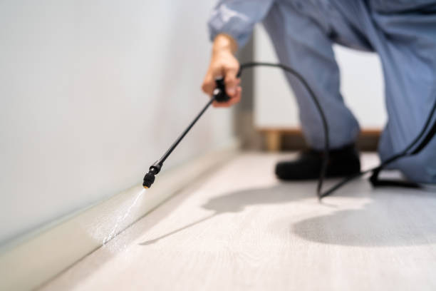 Licensed Termite Control service in North Fork, CA - Nex Pest Control