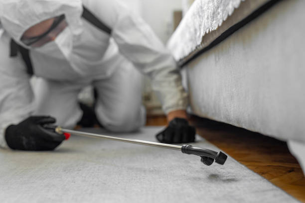 Professional Termite Control technician working in North Fork, CA