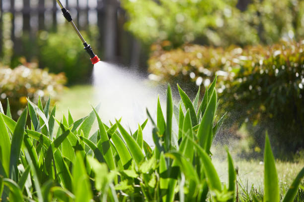 24/7 Emergency Termite Control experts in North Fork, CA