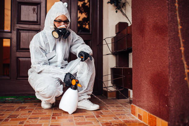 Reliable Termite Control contractor in North Fork, CA by Nex Pest Control