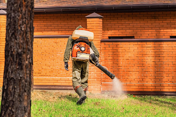 Top rated local Termite Control specialists in North Fork, CA